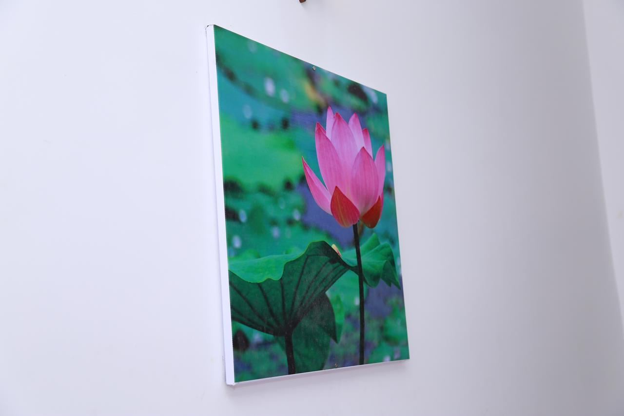 Lotus Dreams Guesthouse Велигама Экстерьер фото